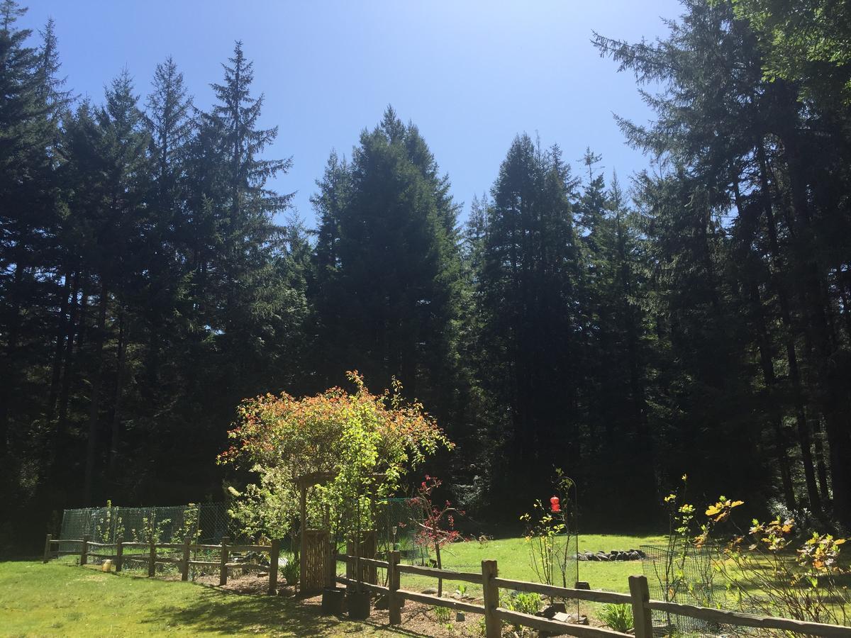 Redwood Forest Casa di campagna